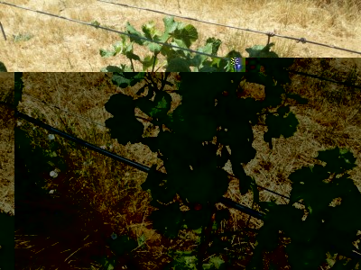 IMG_20170623_125700.jpg (186.03 KiB) Osservato 528 volte IMG_20170623_125700.jpg