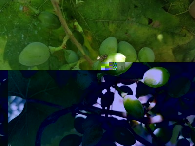 20170710_172409.jpg (77.13 KiB) Osservato 590 volte 20170710_172409.jpg