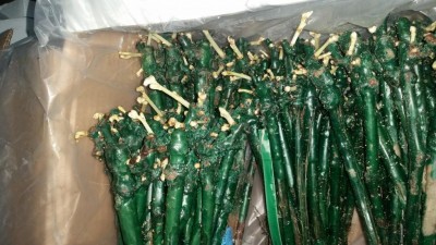 20180321_102559.jpg (115.78 KiB) Osservato 796 volte 20180321_102559.jpg