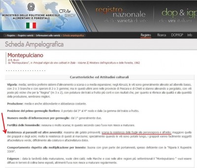 MP0.jpg (116.16 KiB) Osservato 748 volte MP0.jpg