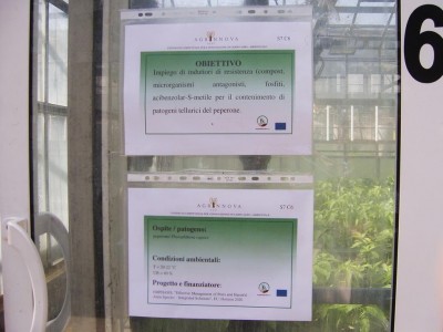 prove di lotta con induttori di resistenza.jpg (81.73 KiB) Osservato 1071 volte prove di lotta con induttori di resistenza.jpg