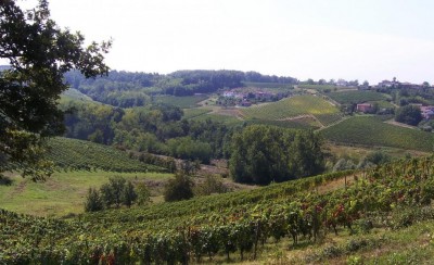 colline del cortese.JPG (130.18 KiB) Osservato 633 volte colline del cortese.JPG