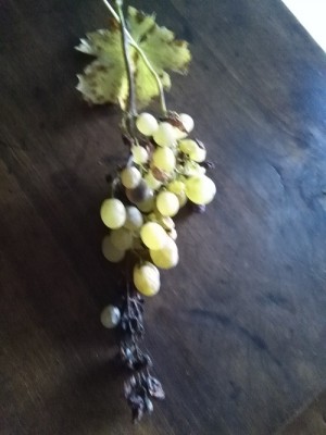 IMG_20181006_133238 web.jpg (111.95 KiB) Osservato 510 volte IMG_20181006_133238 web.jpg