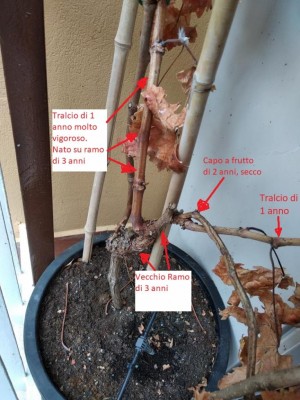 IMG_20181027_114327.jpg (118.24 KiB) Osservato 1533 volte IMG_20181027_114327.jpg