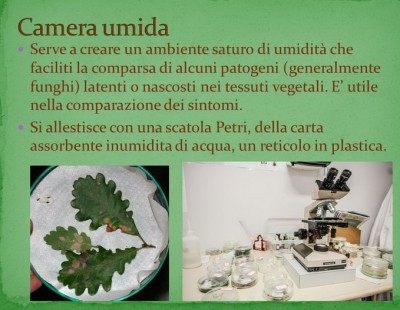 Camera+umida.jpg (148.43 KiB) Osservato 558 volte Camera+umida.jpg