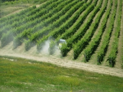 viticoltura bio zolfo ventilato.jpg (156.69 KiB) Osservato 539 volte viticoltura bio zolfo ventilato.jpg