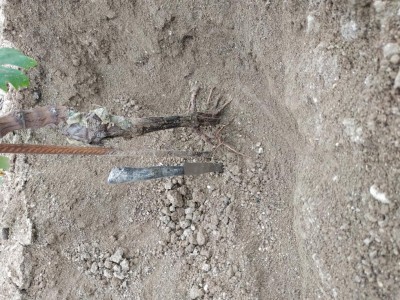 IMG_20201005_140936.jpg (214.41 KiB) Osservato 773 volte IMG_20201005_140936.jpg