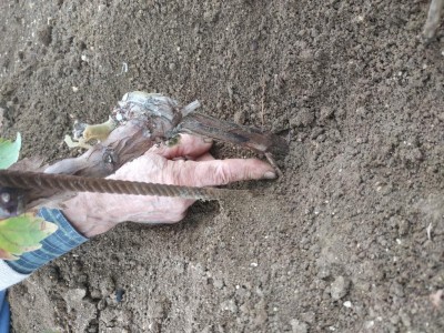 IMG_20201006_094144.jpg (192.25 KiB) Osservato 744 volte IMG_20201006_094144.jpg