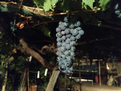 IMG_20200926_205347.jpg (71.93 KiB) Osservato 1248 volte IMG_20200926_205347.jpg