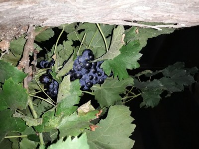 20210923_195013.jpg (112.14 KiB) Osservato 764 volte 20210923_195013.jpg