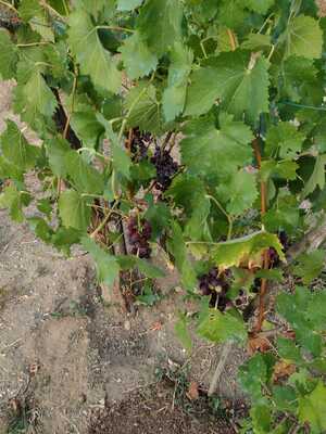 22 (1).jpeg 22 (1).jpeg