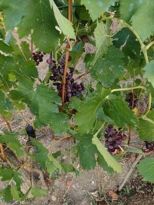 22 (2).jpeg 22 (2).jpeg