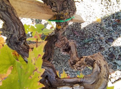 IMG_20221030_114807.jpg (158.7 KiB) Osservato 829 volte IMG_20221030_114807.jpg