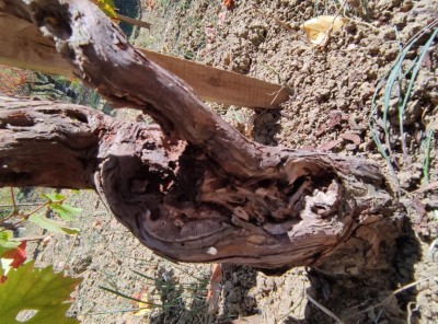 IMG_20221030_114756.jpg (179.5 KiB) Osservato 829 volte IMG_20221030_114756.jpg