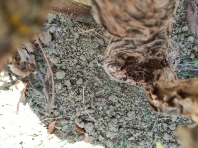 IMG_20221030_114621.jpg (130.64 KiB) Osservato 829 volte IMG_20221030_114621.jpg