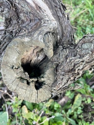 Foto2.jpg (140.21 KiB) Osservato 881 volte Foto2.jpg