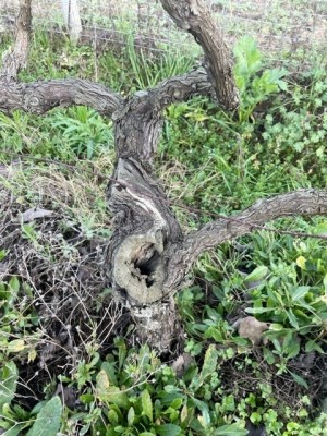 Foto1.jpg (167.6 KiB) Osservato 881 volte Foto1.jpg