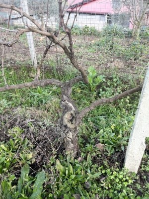 Foto3.jpg (165.95 KiB) Osservato 881 volte Foto3.jpg