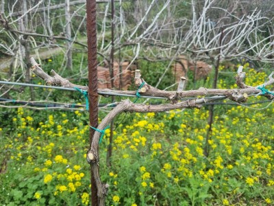 1.jpg (128.79 KiB) Osservato 1055 volte 1.jpg