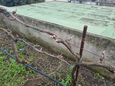 20230304_144333.jpg (150.39 KiB) Osservato 1055 volte 20230304_144333.jpg