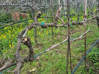 20230304_144425.jpg (201.21 KiB) Osservato 1055 volte 20230304_144425.jpg