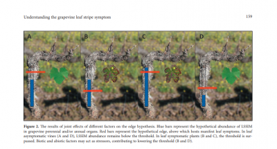 Mal dell'esca - ipotesi 'bordo'.png (339.73 KiB) Osservato 599 volte Mal dell'esca - ipotesi 'bordo'.png