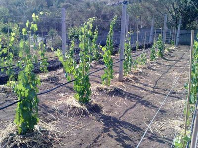 120720112499.jpg (94.37 KiB) Osservato 1295 volte 120720112499.jpg