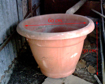 IMG00317.jpg (113.06 KiB) Osservato 1354 volte IMG00317.jpg