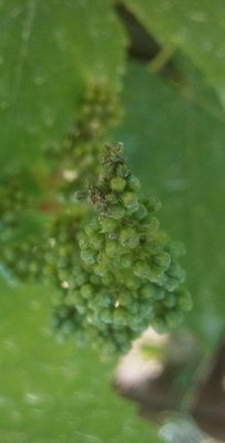 02062013.jpg (122.31 KiB) Osservato 978 volte 02062013.jpg