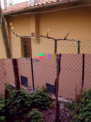 IM003419.JPG (83.89 KiB) Osservato 827 volte IM003419.JPG