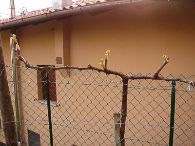 IM003421.JPG (69.4 KiB) Osservato 751 volte IM003421.JPG