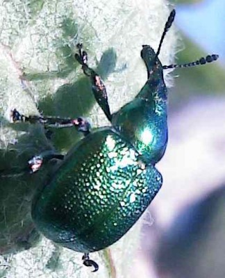 IMG_20140501_175739-2.JPG (22.83 KiB) Osservato 605 volte IMG_20140501_175739-2.JPG