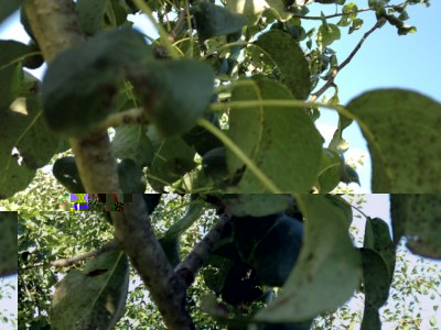 026 mod.jpg (136.43 KiB) Osservato 550 volte 026 mod.jpg