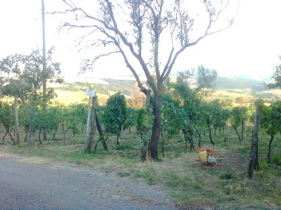 Immag0370.jpg (265.26 KiB) Osservato 952 volte Immag0370.jpg