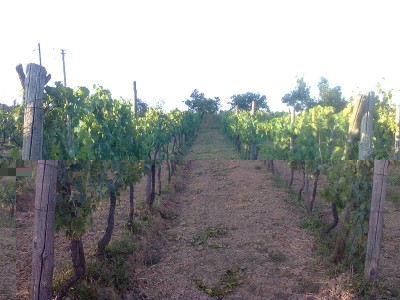 Immag0367.jpg (233.2 KiB) Osservato 952 volte Immag0367.jpg