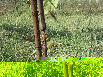 20141001_130834.jpg (377.72 KiB) Osservato 643 volte 20141001_130834.jpg