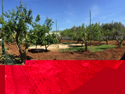 image.jpeg (174.32 KiB) Osservato 11255 volte image.jpeg