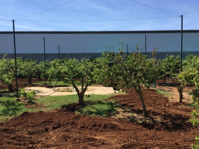 image.jpeg (275.58 KiB) Osservato 11255 volte image.jpeg