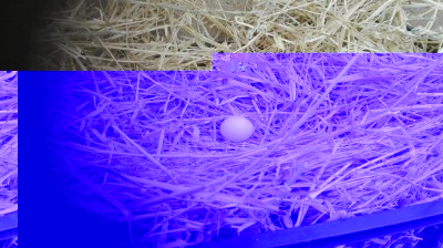 IMG_20180326_103025.jpg (110.46 KiB) Osservato 9109 volte IMG_20180326_103025.jpg