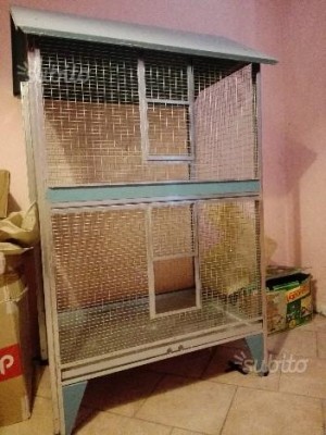 voliera 3.jpg (33.47 KiB) Osservato 9200 volte voliera 3.jpg