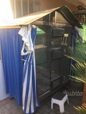 voliera 4.jpg (27.44 KiB) Osservato 9261 volte voliera 4.jpg