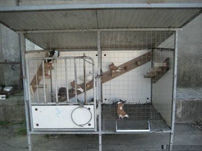 v5.JPG (25.8 KiB) Osservato 3832 volte v5.JPG