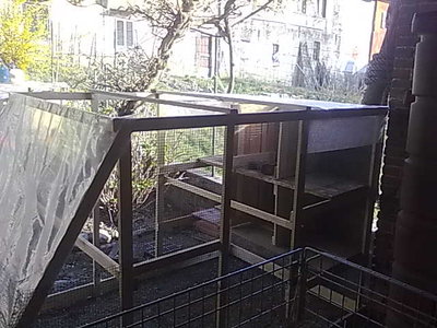 260320121443.jpg (51.9 KiB) Osservato 850 volte 260320121443.jpg