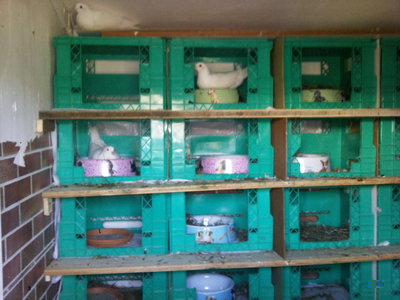 Foto1352.jpg (293.18 KiB) Osservato 927 volte Foto1352.jpg