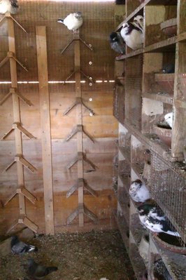 IMAG2174.jpg IMAG2174.jpg