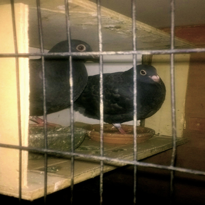 WP_20140626_005.jpg WP_20140626_005.jpg